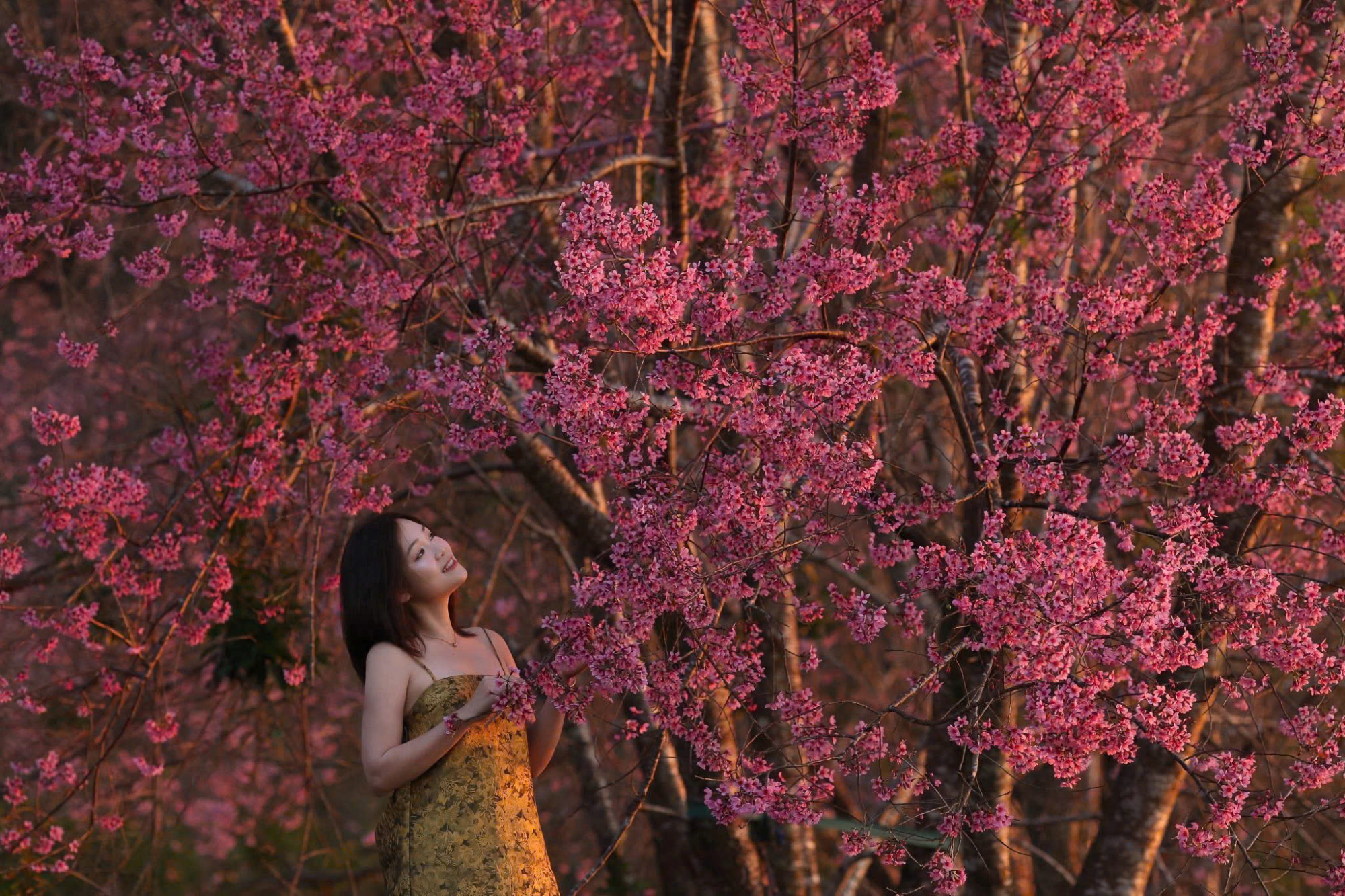 Mộng Đào Nguyên Đà Lạt 